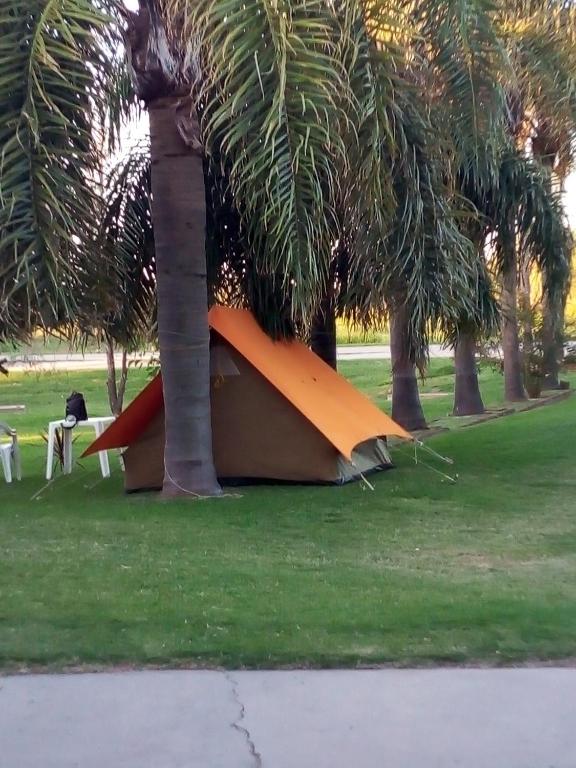 Camping Sam - 5