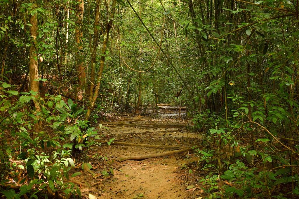 Sports and activities