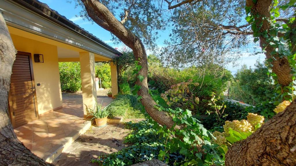 Casa delle bouganville - 2