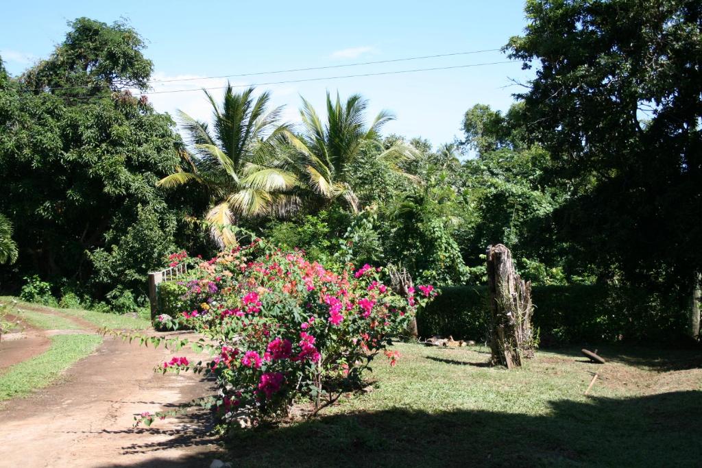 Surrounding environment