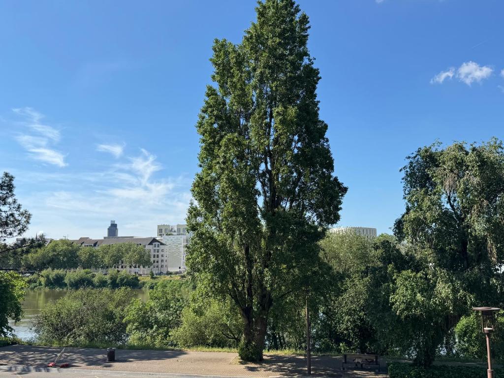 Le Cocon du Bord de Loire ! Appartement spacieux pour 6 personnes avec terrasse & parking - 3