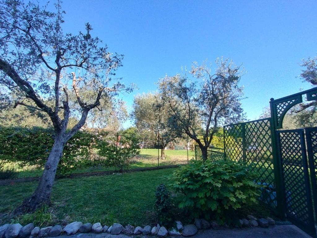 La Rovettina Pet friendly house - 4