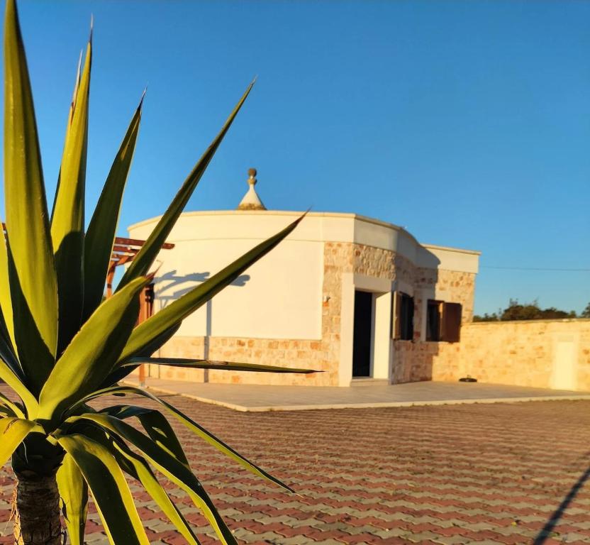 Il trullo di Antonio - 1