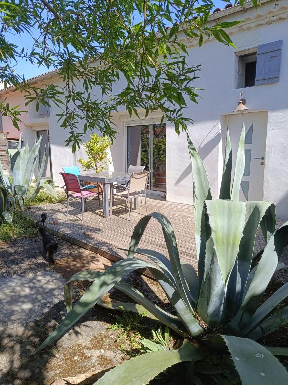 Villa atypique climatisée avec piscine chauffée - 1