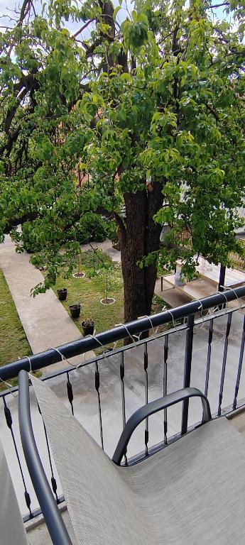 Anna apartman - balkon i besplatan parking - 5