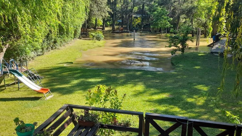 Cabin in the Tigre Delta Nature and fauna - 5