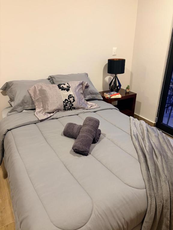 Apt with terrace, Andares, Providencia, Chapu - 5