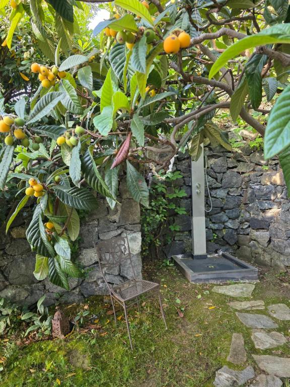 Villa Cokkinis fronte mare con ampio giardino - 4