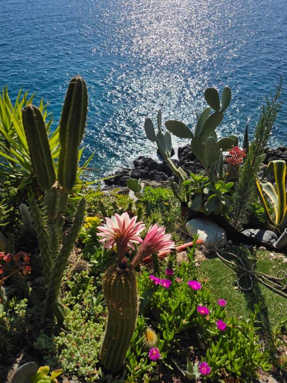 Villa Cokkinis fronte mare con ampio giardino - 2
