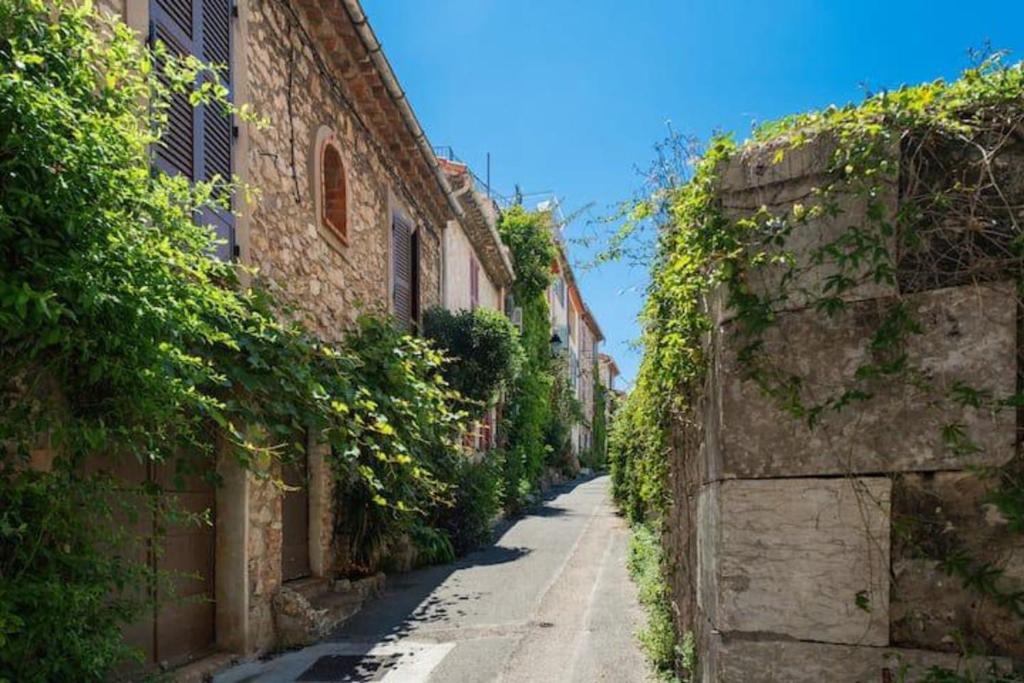 Viel Antibes - T2 rénové & cosy - 5