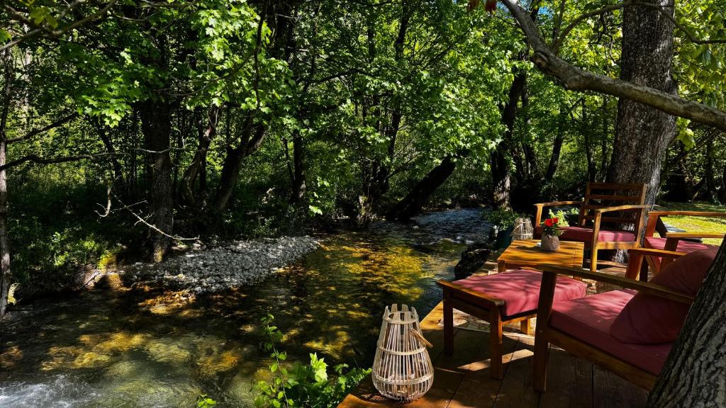 Pine River Dobrenica - 3