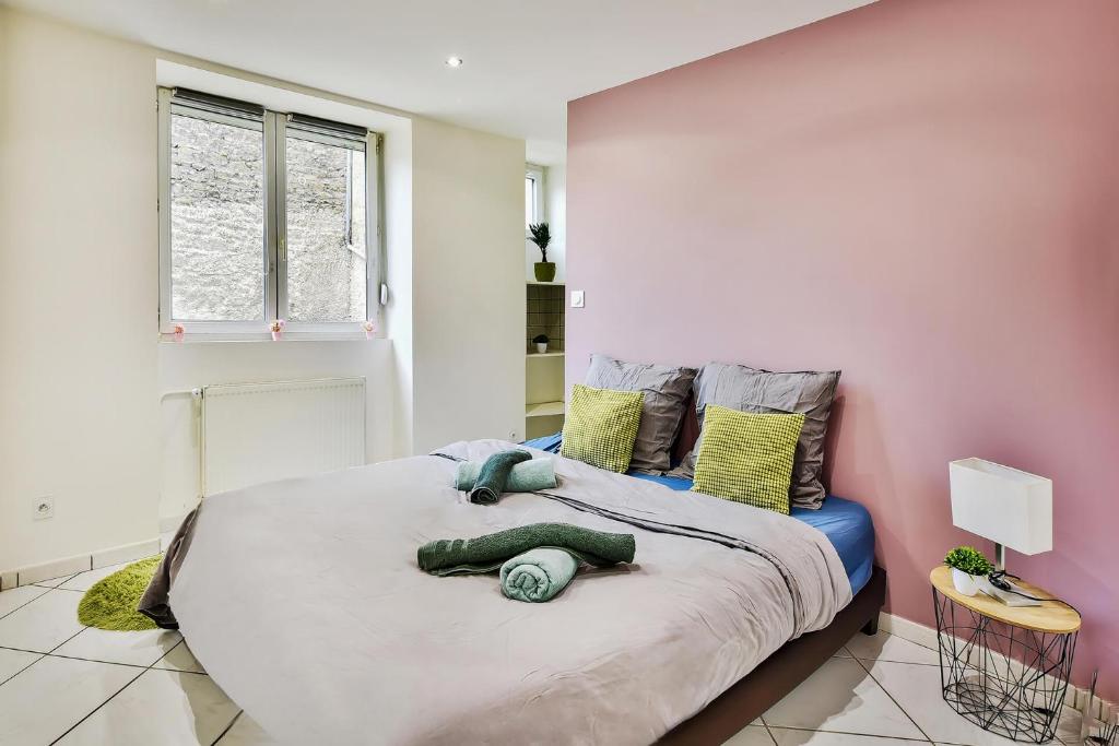 Appartement avec cour privative à Saint-Étienne - 2