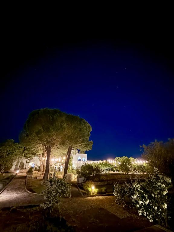 Tenuta Ermes - 2