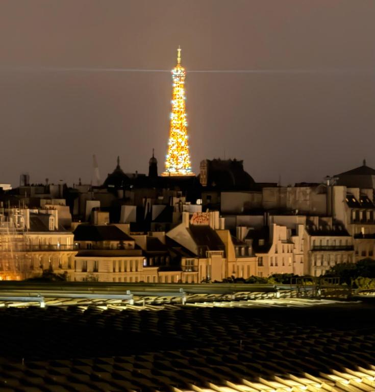 Lescostreet-Vue Tour Eiffel, balcon filant, hyper-centre Paris - 1