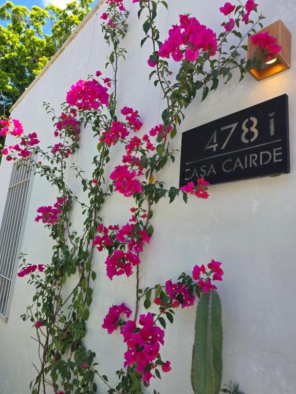 Casa Cairde - 2