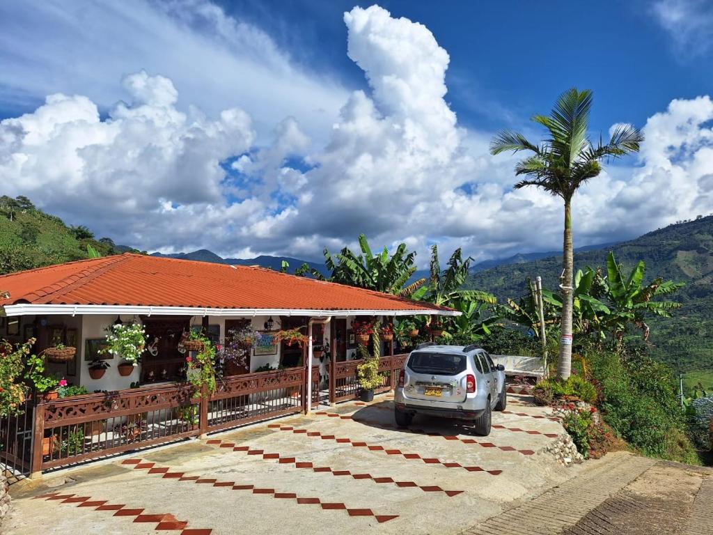 finca nalu - 1