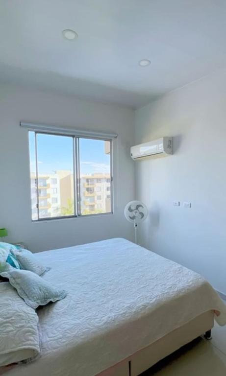 apartamento GIRARDOT-RICAURTE - 3