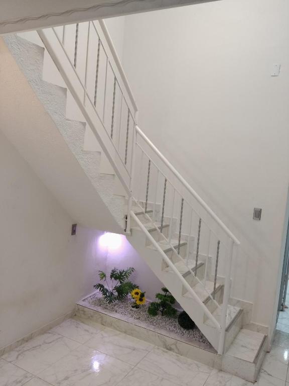 Hermoso apartamento - 2