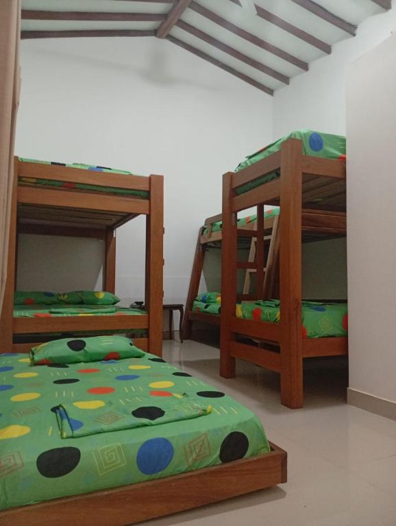 Hospedaje Rural La Mediterranea - 5