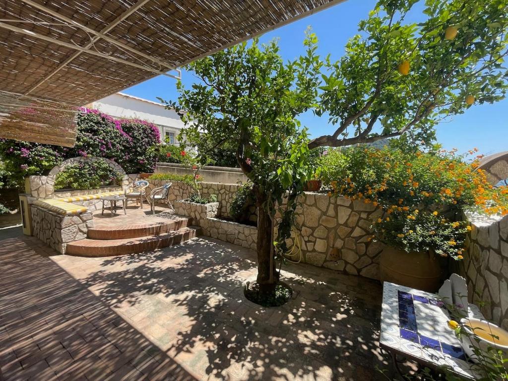 Casa di Ally - 4