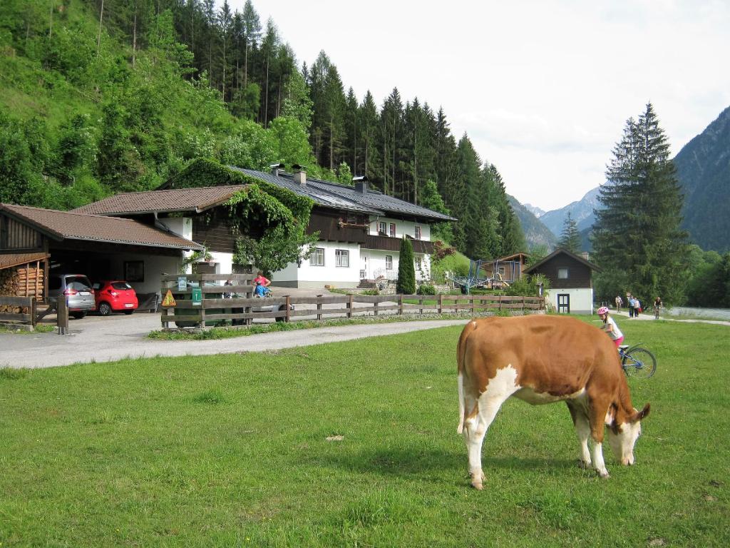 Ferienwohnung an der Saalach - 4
