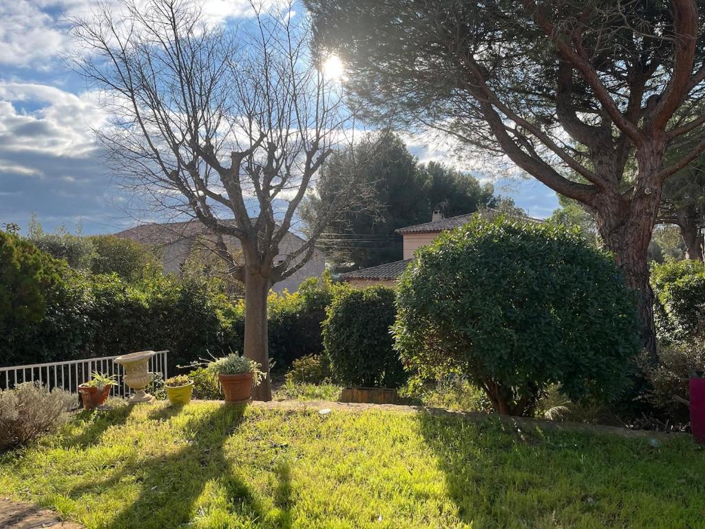 Apartment with garden, close to Capelan cove - 1