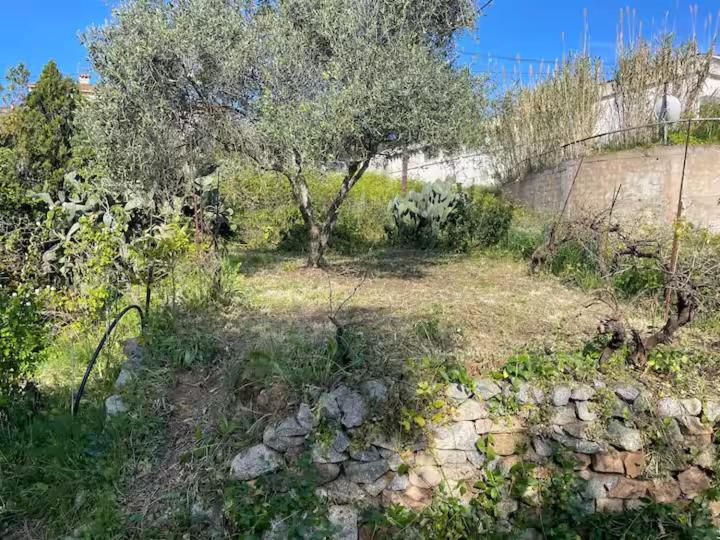 Grand F4 rez de jardin - 4
