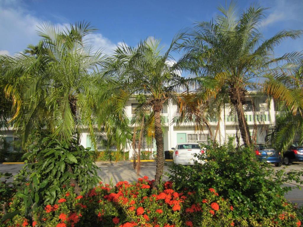 Entrance, Shalimar Motel in Miami (FL)