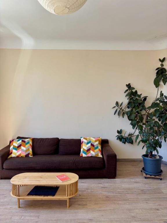 Très bel appartement au coeur d'Avignon - 4