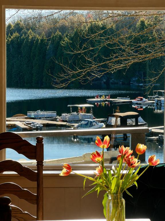 Little Hawk Resort & Marina