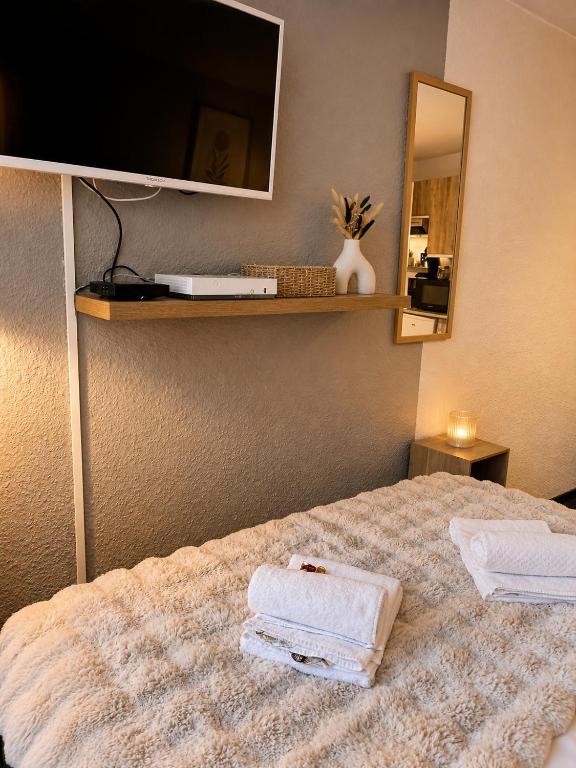 Chamonix : Studio intime au bord du lac des Gaillands et pistes de ski - 3