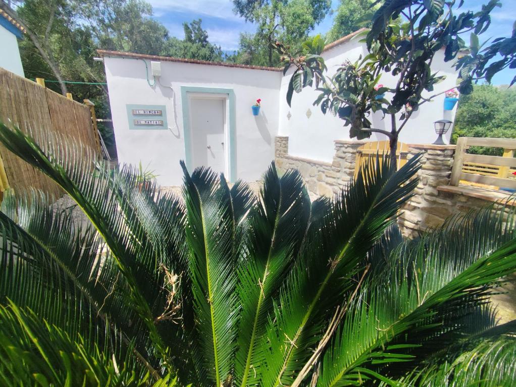 El Rincón de Matías - 4
