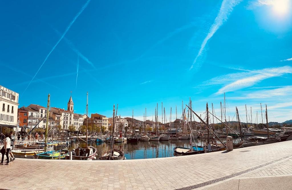 Bienvenue aux Barques - 3