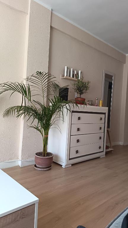 Habitaciones en Apartamento compartido DELICIAS ROOM Cerca del Mar, Aeropuerto, Ave y Metro - 3