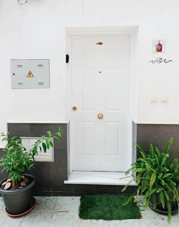 Apartment Barbate - 5