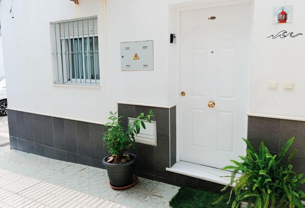 Apartment Barbate - 4
