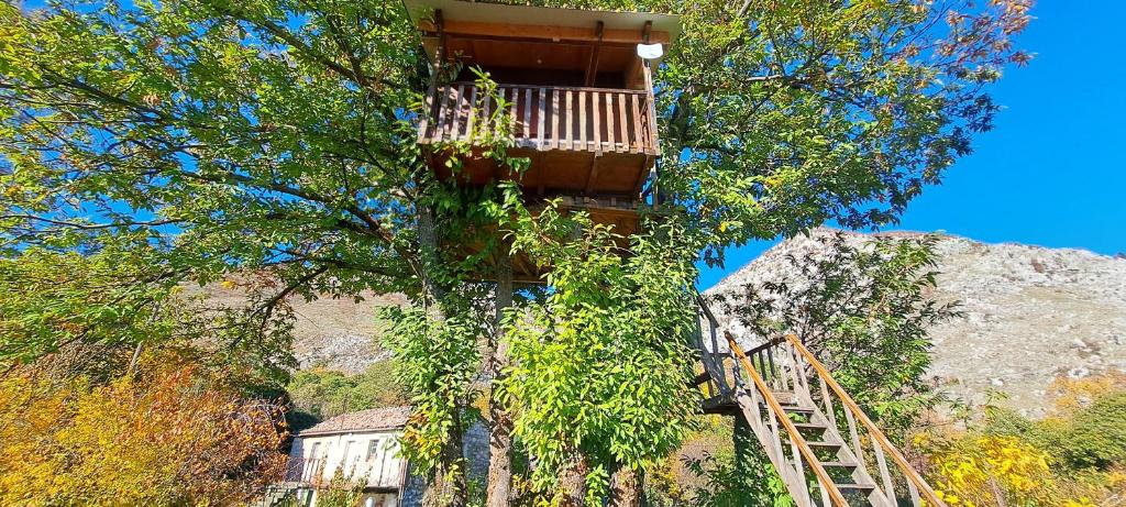 TreeHouse - 1