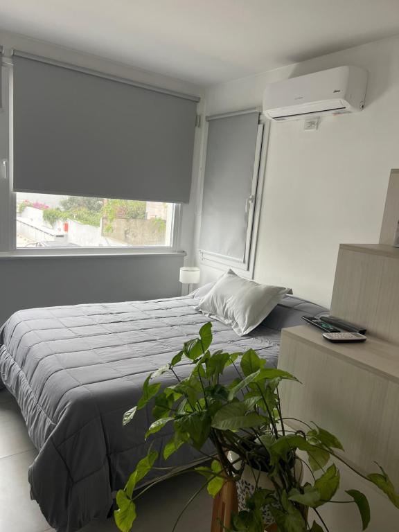 Moderno Mono ambiente - 3