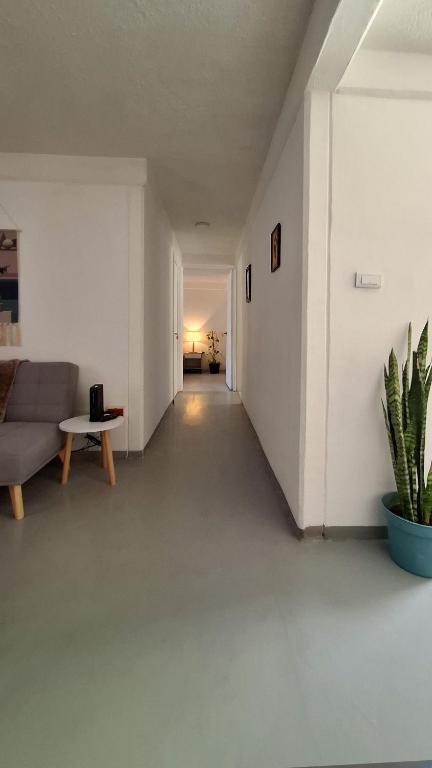 Apartamento completo en planta baja cerca del aeropuerto y del centro - 4