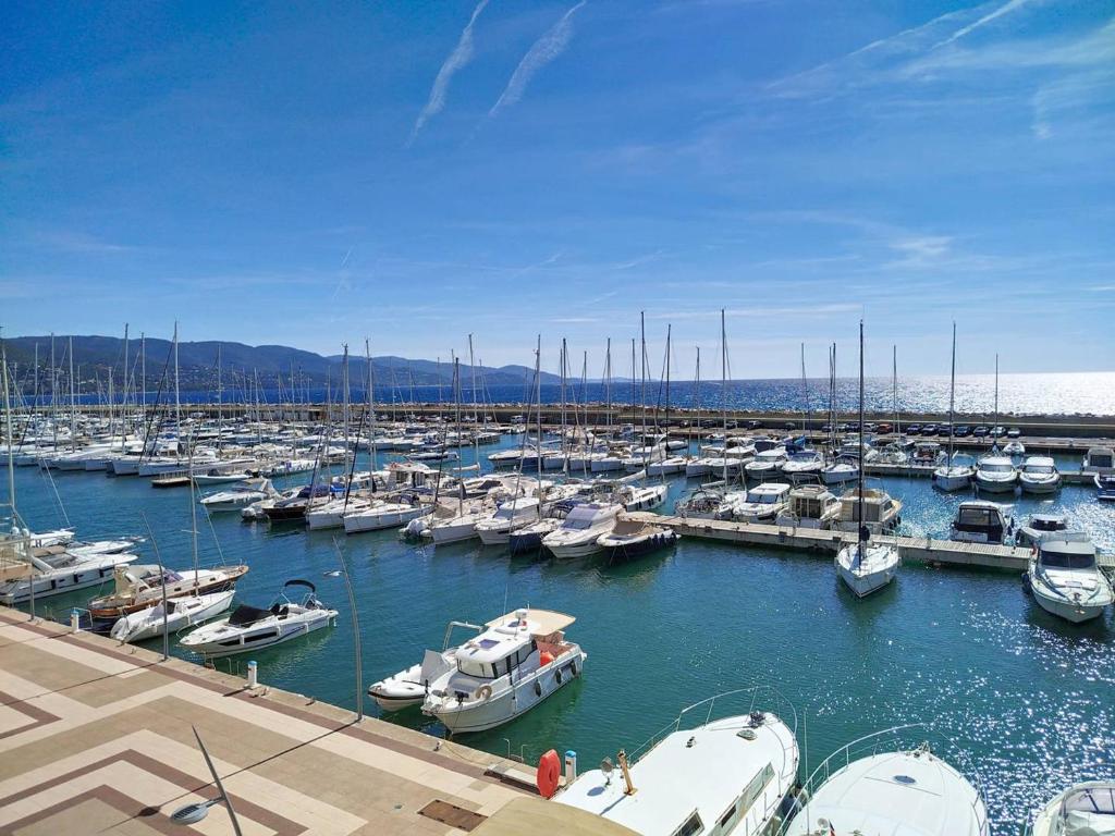 Studio climatisé vue mer - 4 pers. - FR-1-610-134 - 1