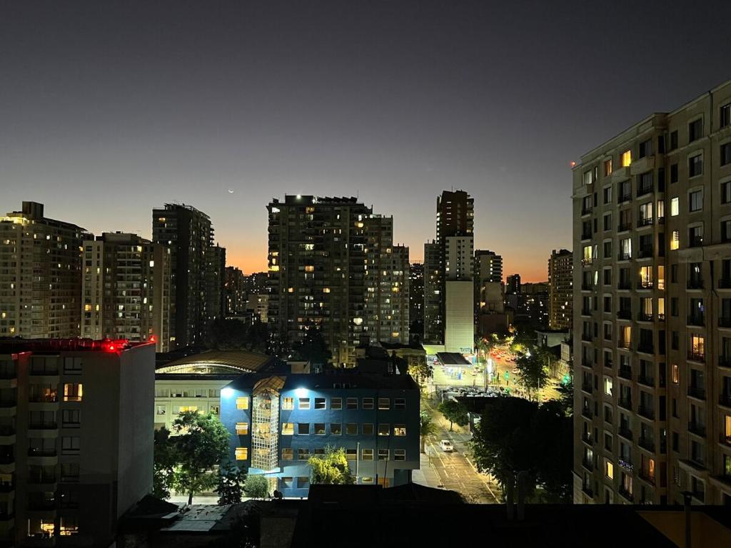 Modern Loft and Pool - Heart of Santiago Centro - 3