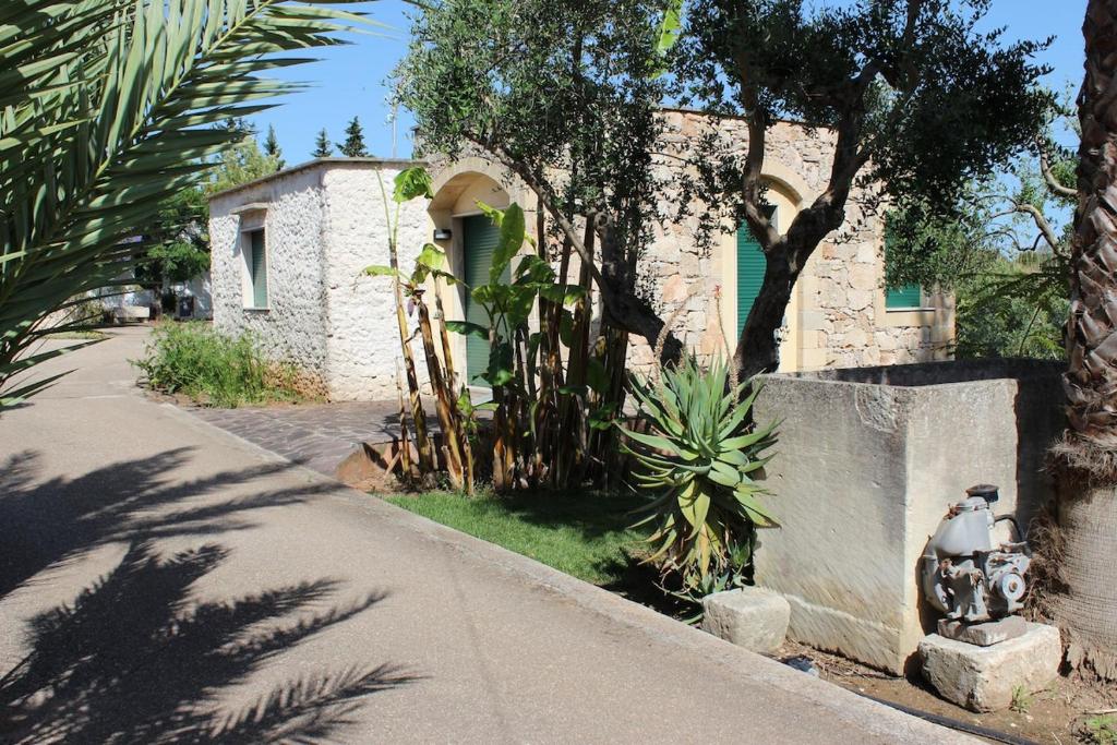Villeriunite - Villa Papiro - 2