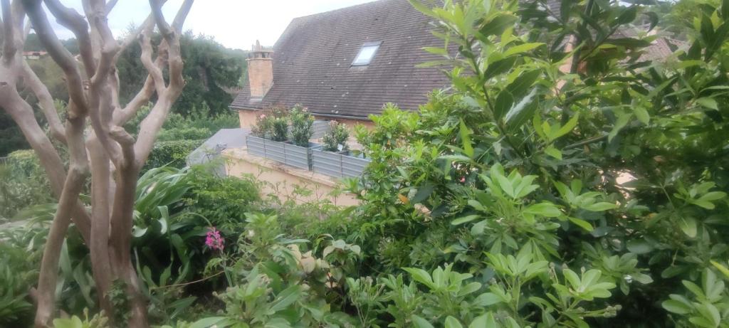 Au Soleil Levant à Sarlat - 2