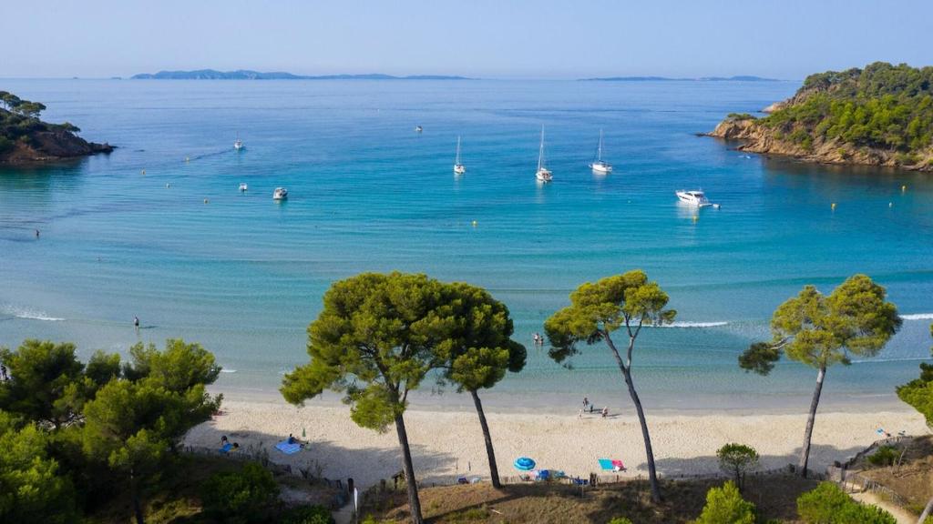Studio Cosy bord de Mer 150m de la plage - 5