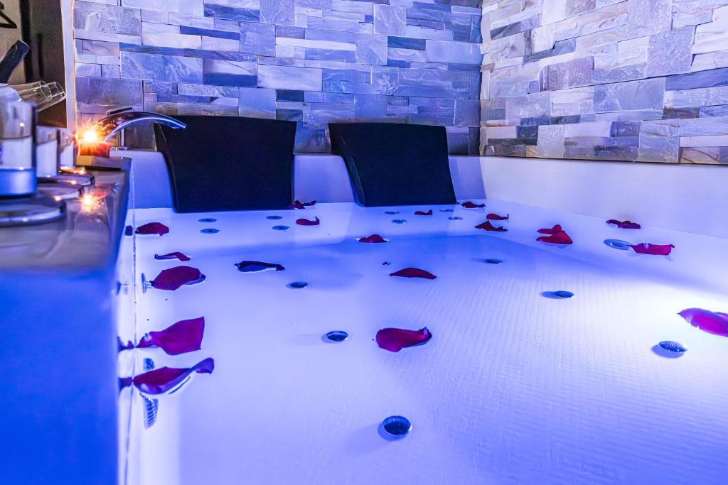 Suite&Spa -Love Room Jacuzzi&Sauna Privatif Vienne - 3
