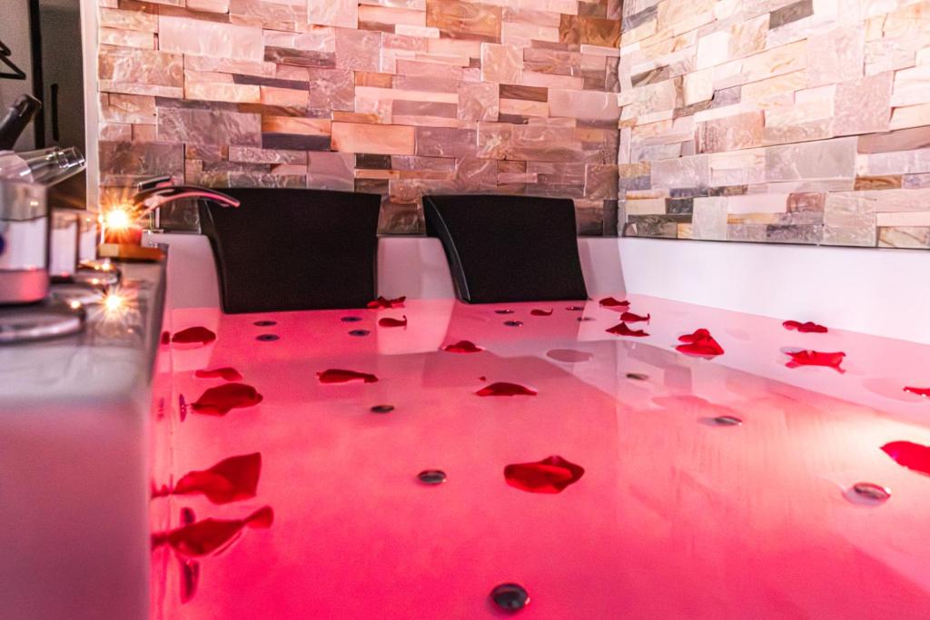 Suite&Spa -Love Room Jacuzzi&Sauna Privatif Vienne - 4