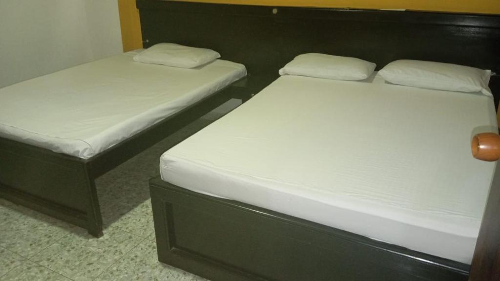 Hotel zona rosa - 2