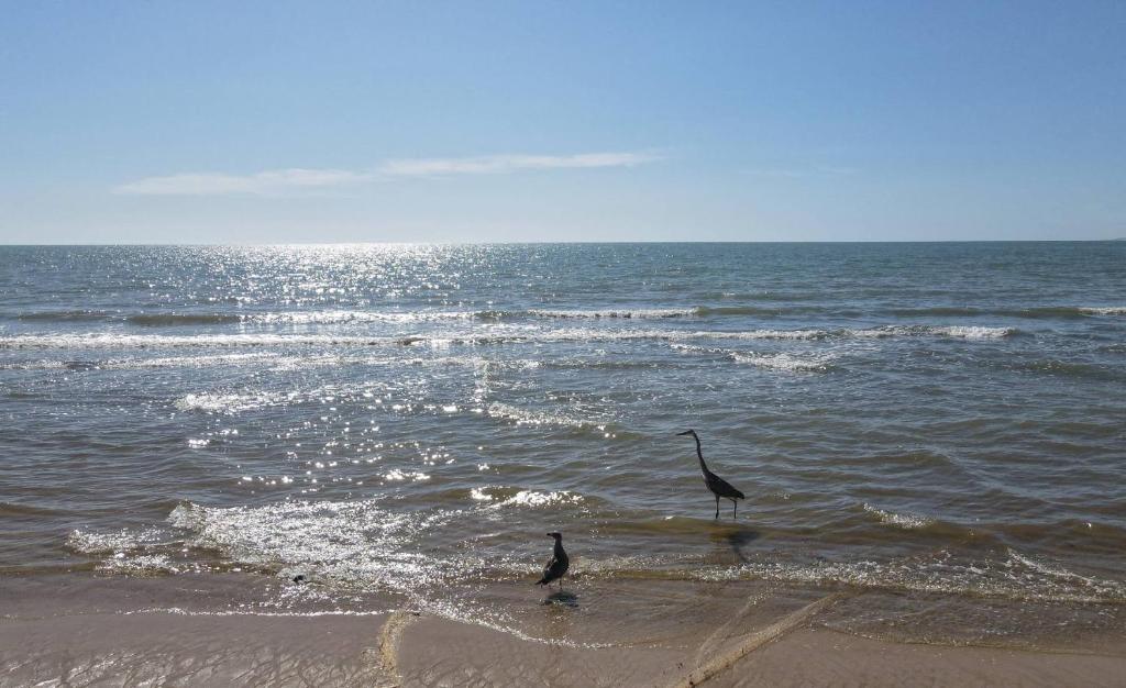 Condo 3, Easy Walk to San Felipe Malecon - 2