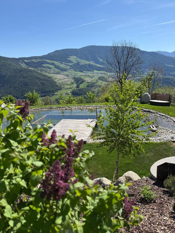 DILIA Chalets & Apartments - 3