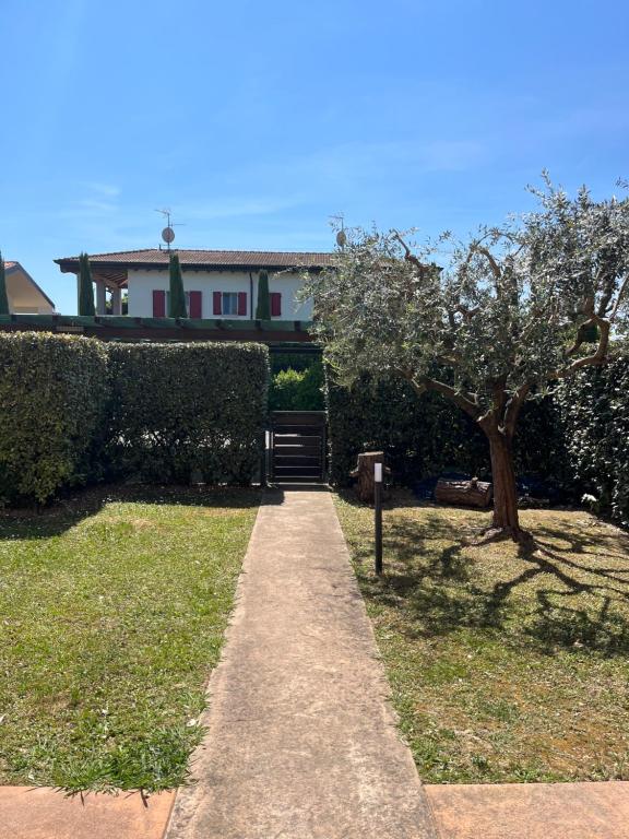 Le Vele Del Cigno - 3